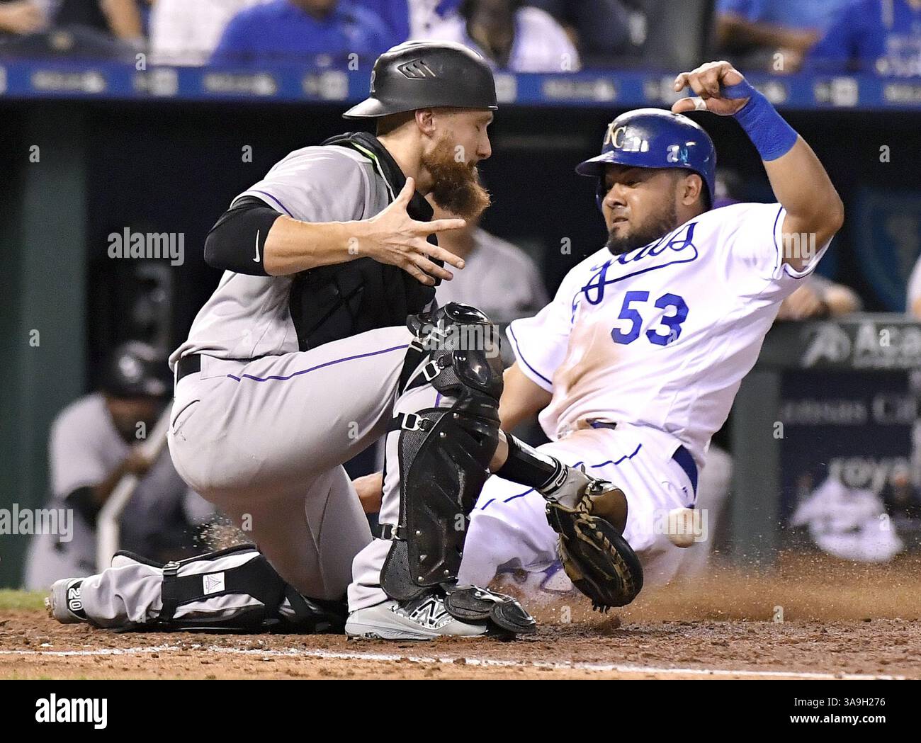 2017 865 jpg hi-res stock photography and images - Alamy