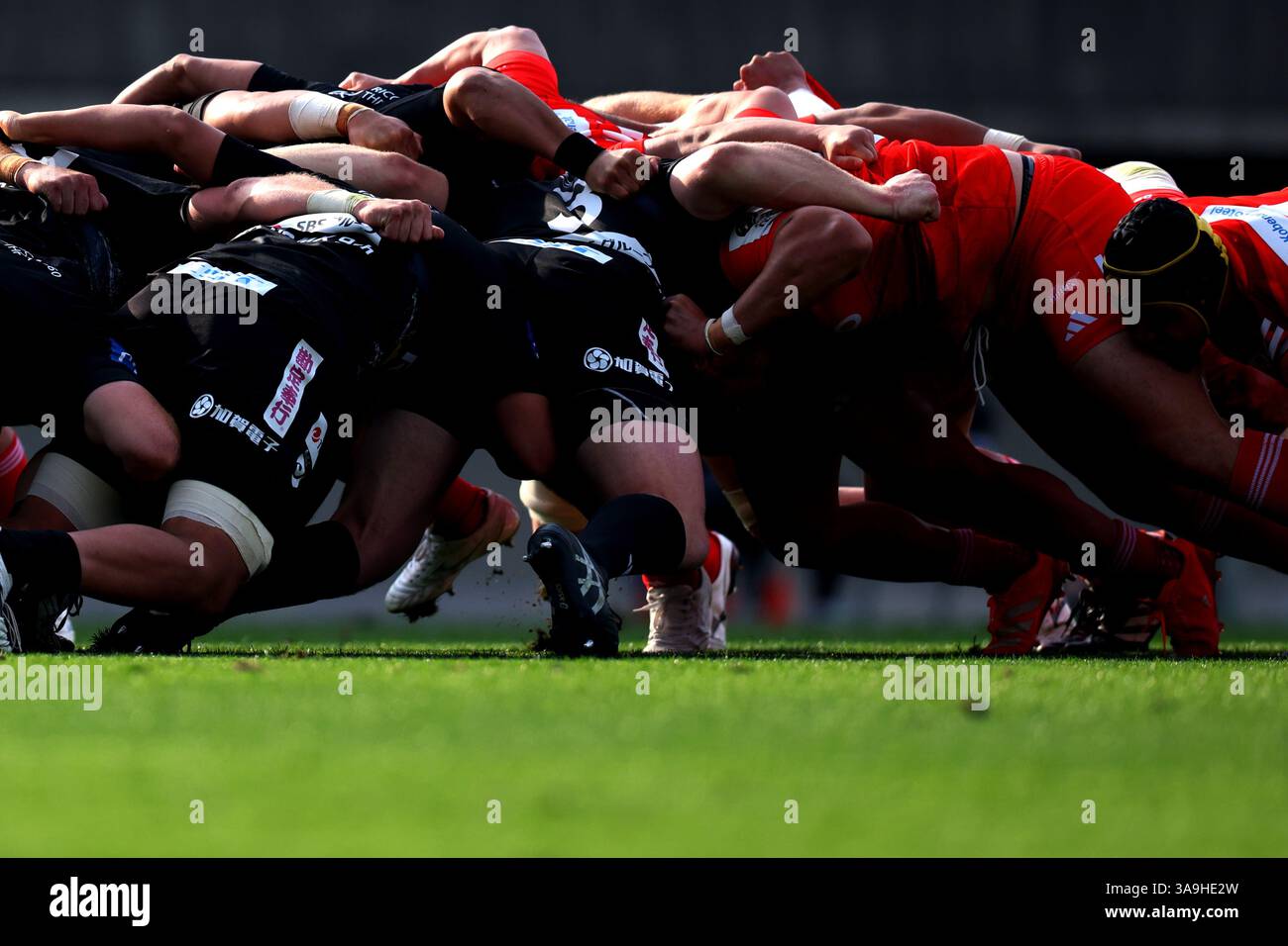 Kobe Rugless Rugby General view/Two team groups, MARCH 30, 2025 - Rugby : 2024-25 Japan ...