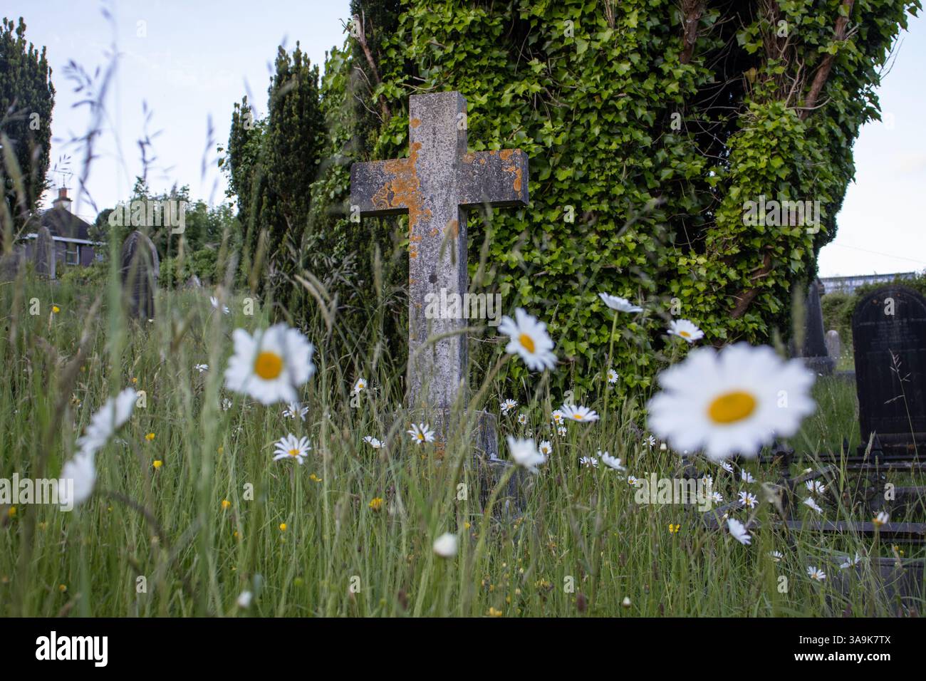Graveyard in Curraghconway