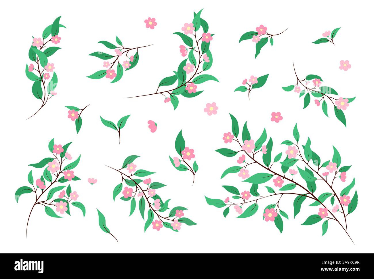 Floral elements vector set. Isolated cute