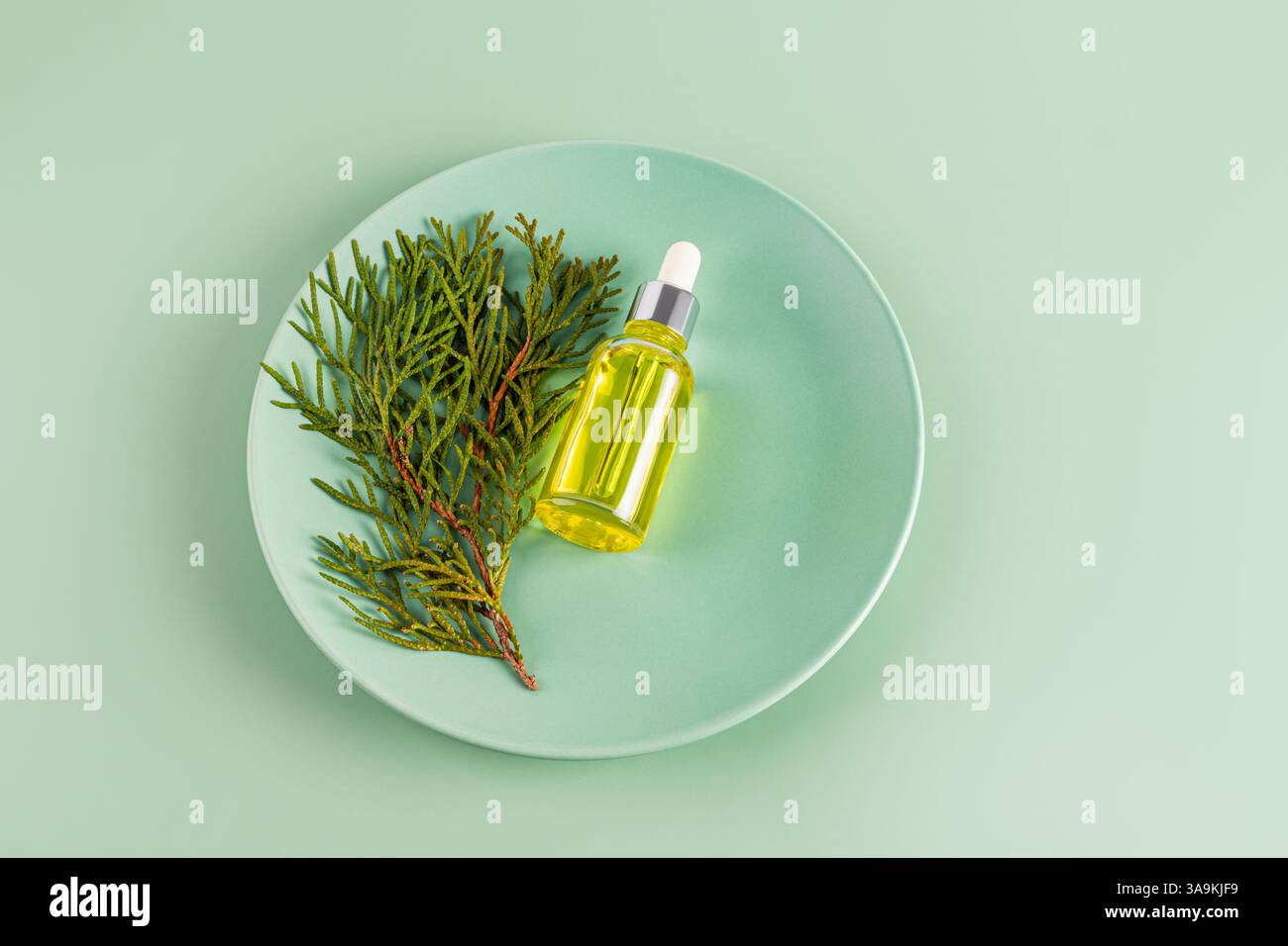 A cosmetic bottle with a dropper with coniferous oil or a product based on coniferous tree oil lies on a green plate with a sprig of thuja. self-care Stock Photo