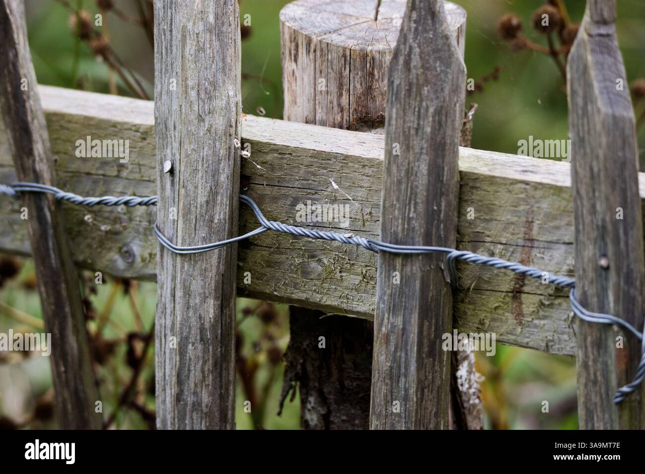 detail of old fence made from chestnut sticks isolated on a natural