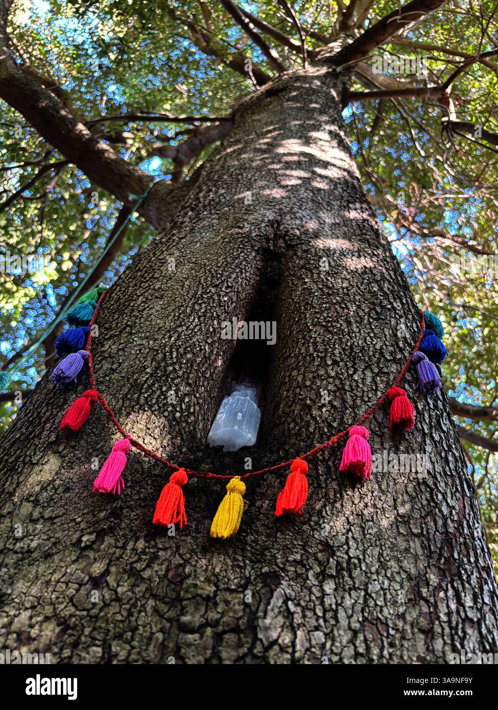 Shrine in tree hollow marked by crystal and colourful cotton - Smartphone Captured Stock Image