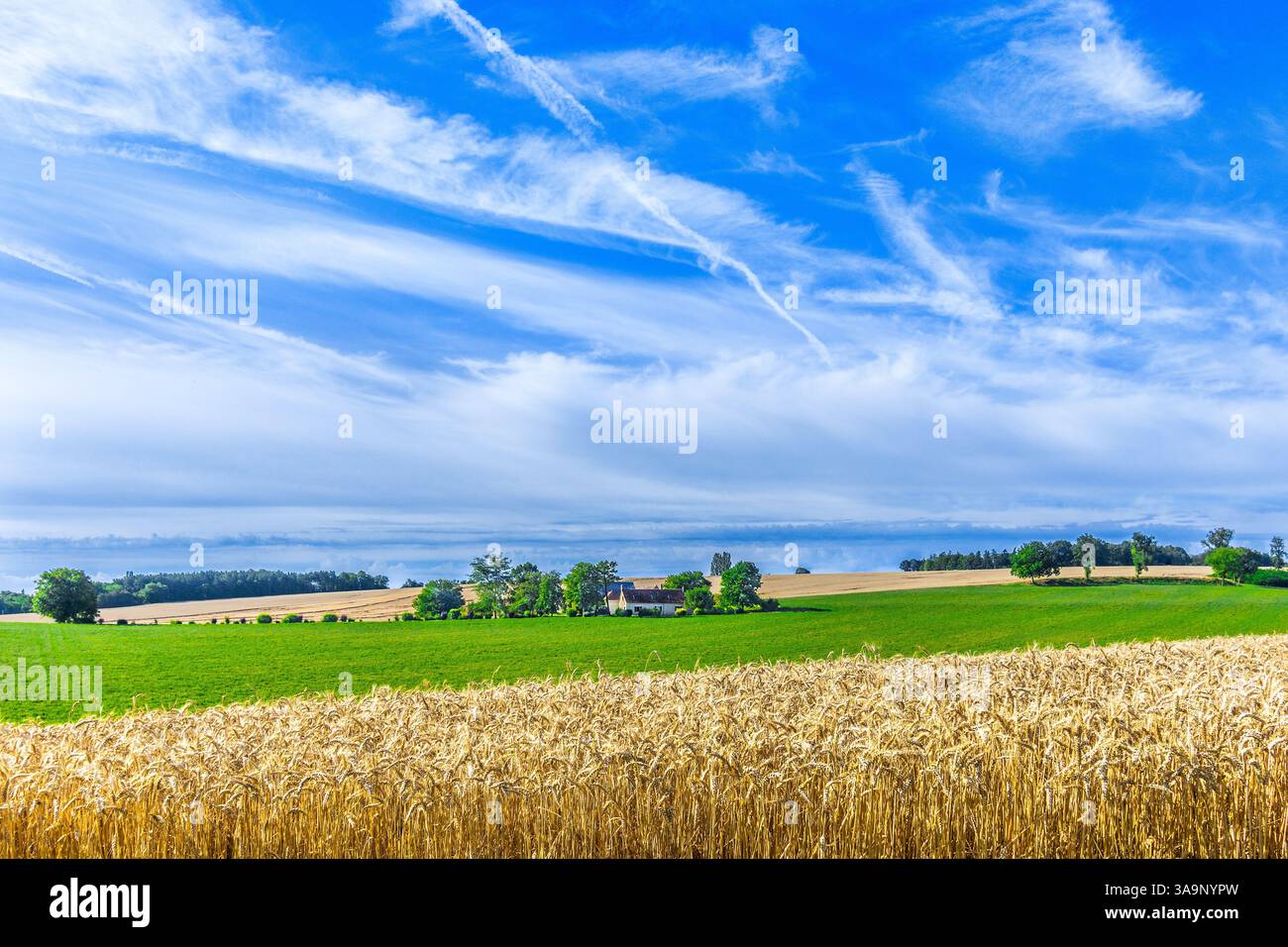 Sud-Touraine arable farmland under a changing sky... rain coming - Preuilly-suClaise, Indre-et-Loire (37), France. Stock Photo