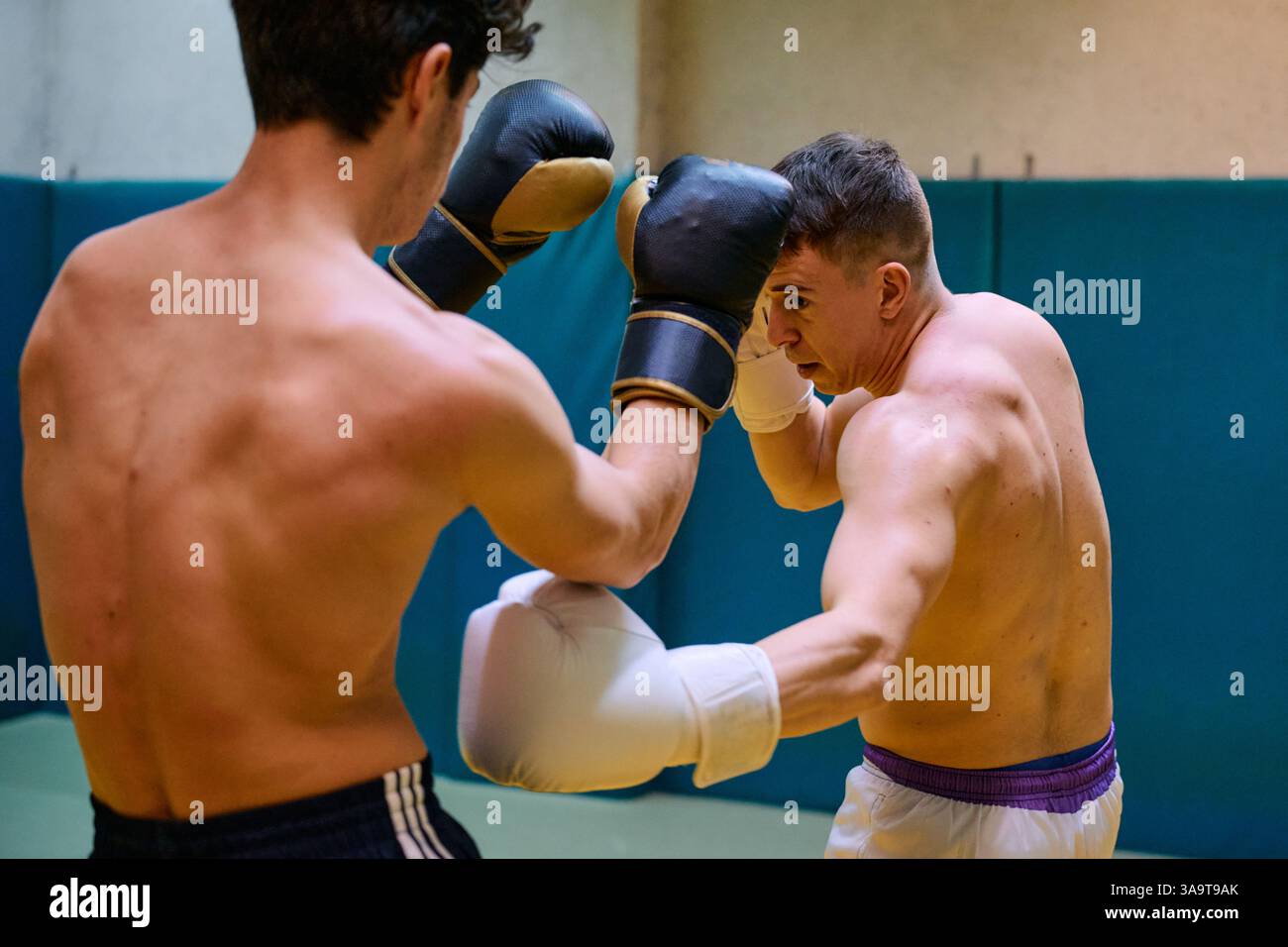 Two boxers training intensely in a gym during practice session Stock ...