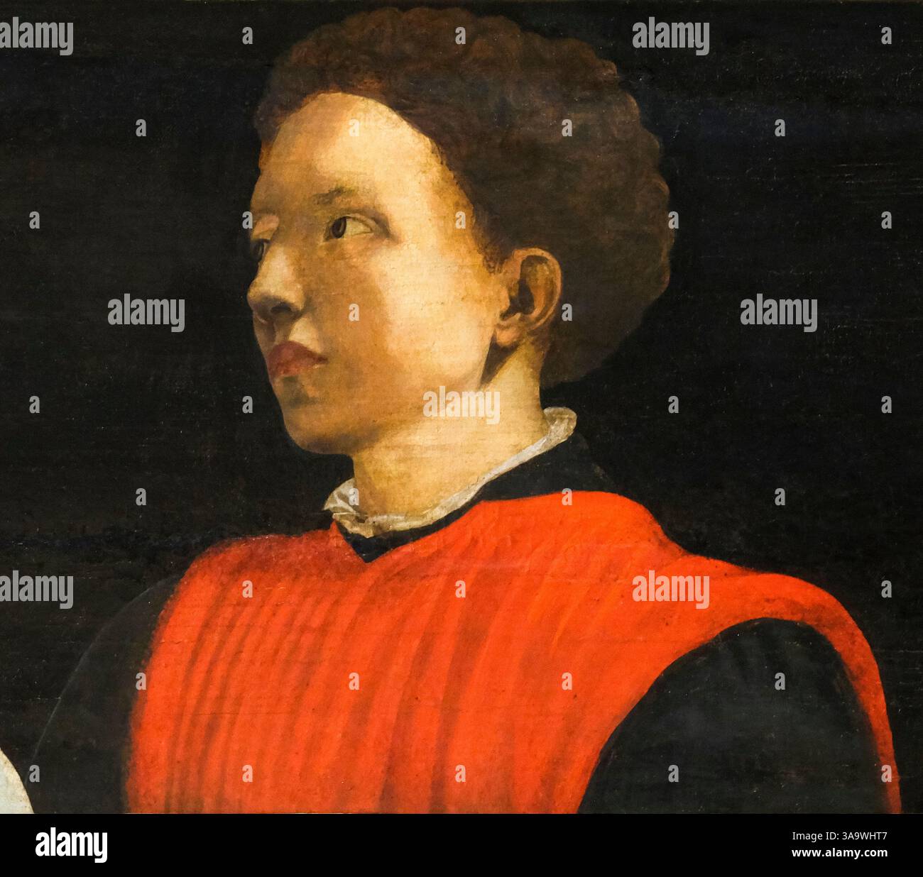 Was an italian mathematician hi-res stock photography and images - Alamy, image size:1300x1236