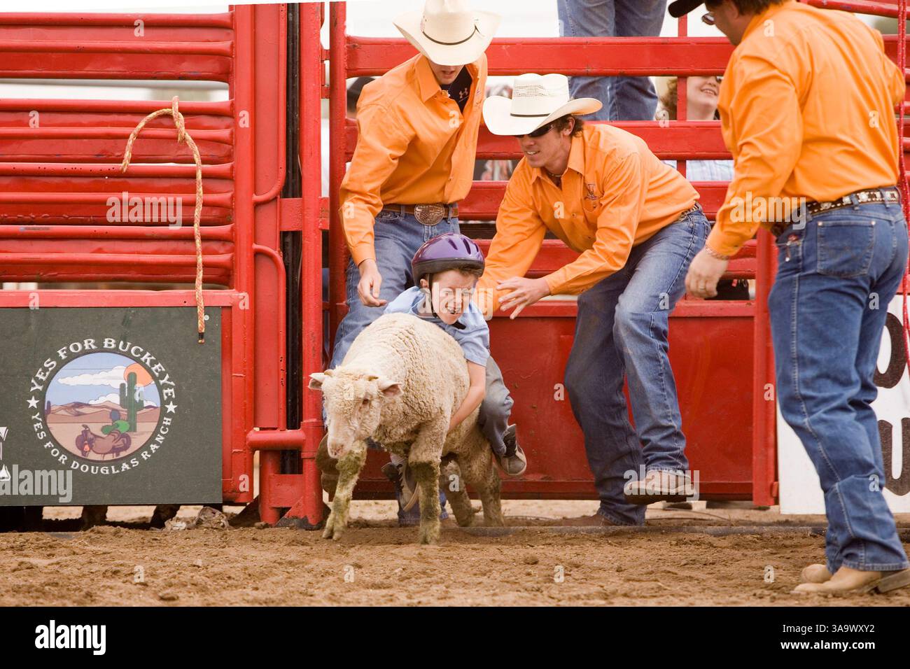 Mutton Ride Rodeo mutton bustin hi-res stock photography and images - Alamy