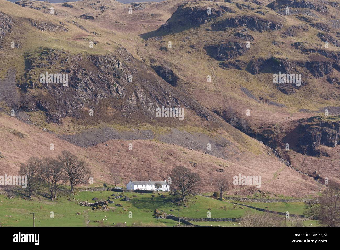 A remote farmhouse and farmland beneath the fells and mountains of Low ...