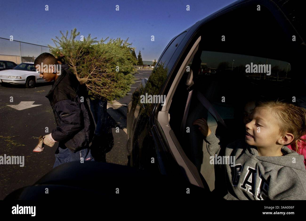 Trent Martin, 5, right, watch as his family's Christmas tree is hauled away from Laguna Creek High School track runner, Carrington Secrease, 17 of Laguna, at Laguna Creek High School, Saturday January 3, 2004. The Laguna High School Football and track team collects Christmas trees as a fund-raiser event for the three weekends after Christmas is over, raising about ,000-,000. The group will collect about 1500 trees in its fund-raising event, which will go to help out the two sports teams at the school. This is one of five big events the teams hold in the hopes of raising 0,000 a year. Sacrament Stock Photo