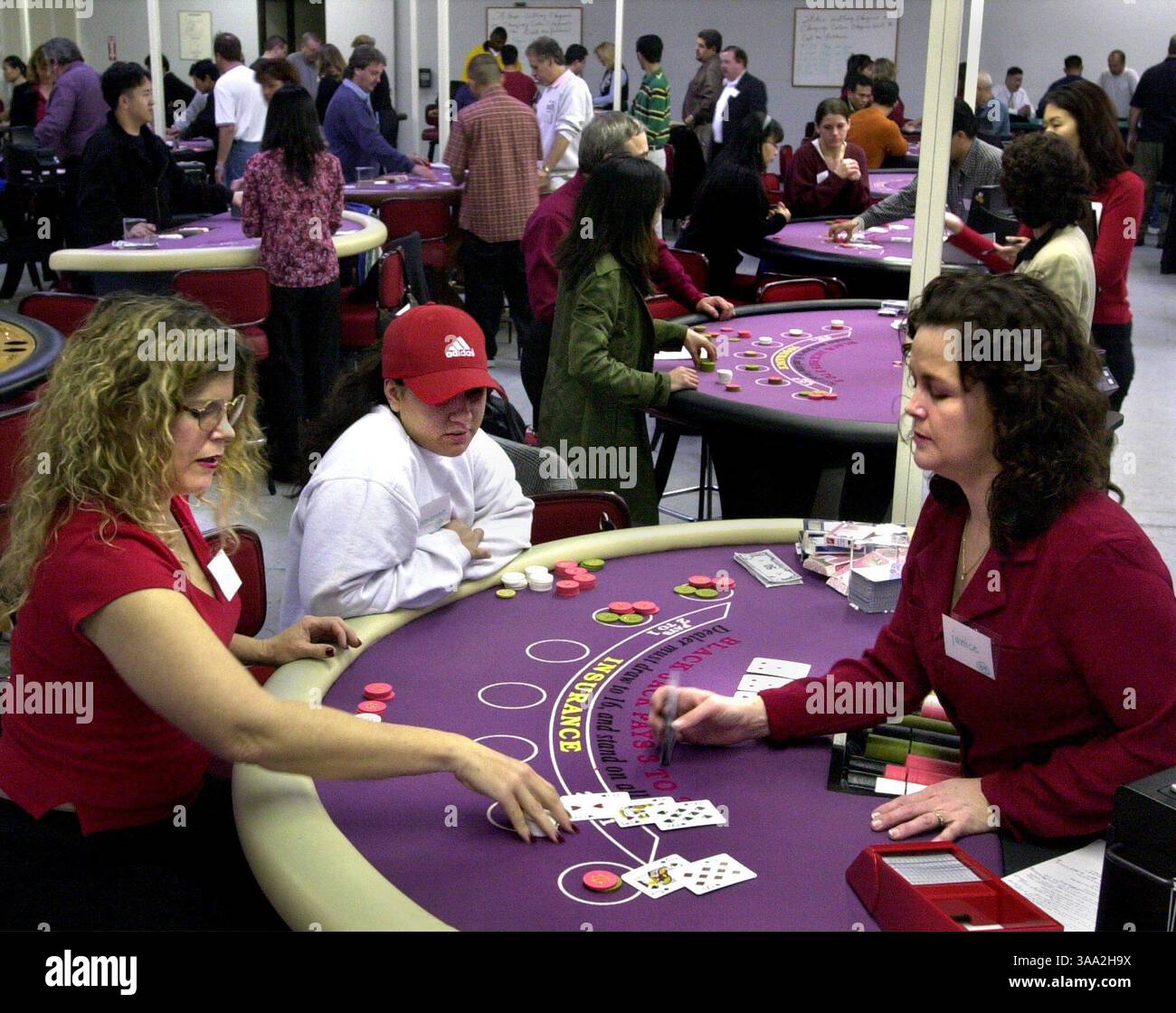 Michelle Beezley, Breanne Chapman and Janice Palomo practice playing and dealing blackjack at Thunder Valley Casino Dealer School during classes Friday February 14, 2003 , in Rocklin.  Sacramento Bee /  Owen Brewer/ZUMA Press Stock Photo