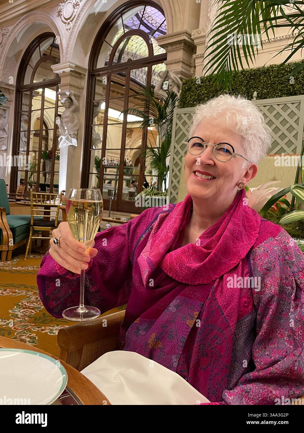 Happy female pensioner enjoys a birthday toast of champagne in The Palm Court, Plaza Hotel, 2024, New York City, USA - Smartphone Captured Stock Image