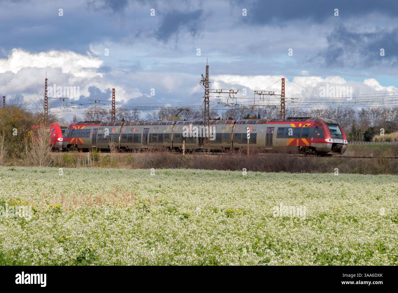 Ter lio hi-res stock photography and images - Alamy