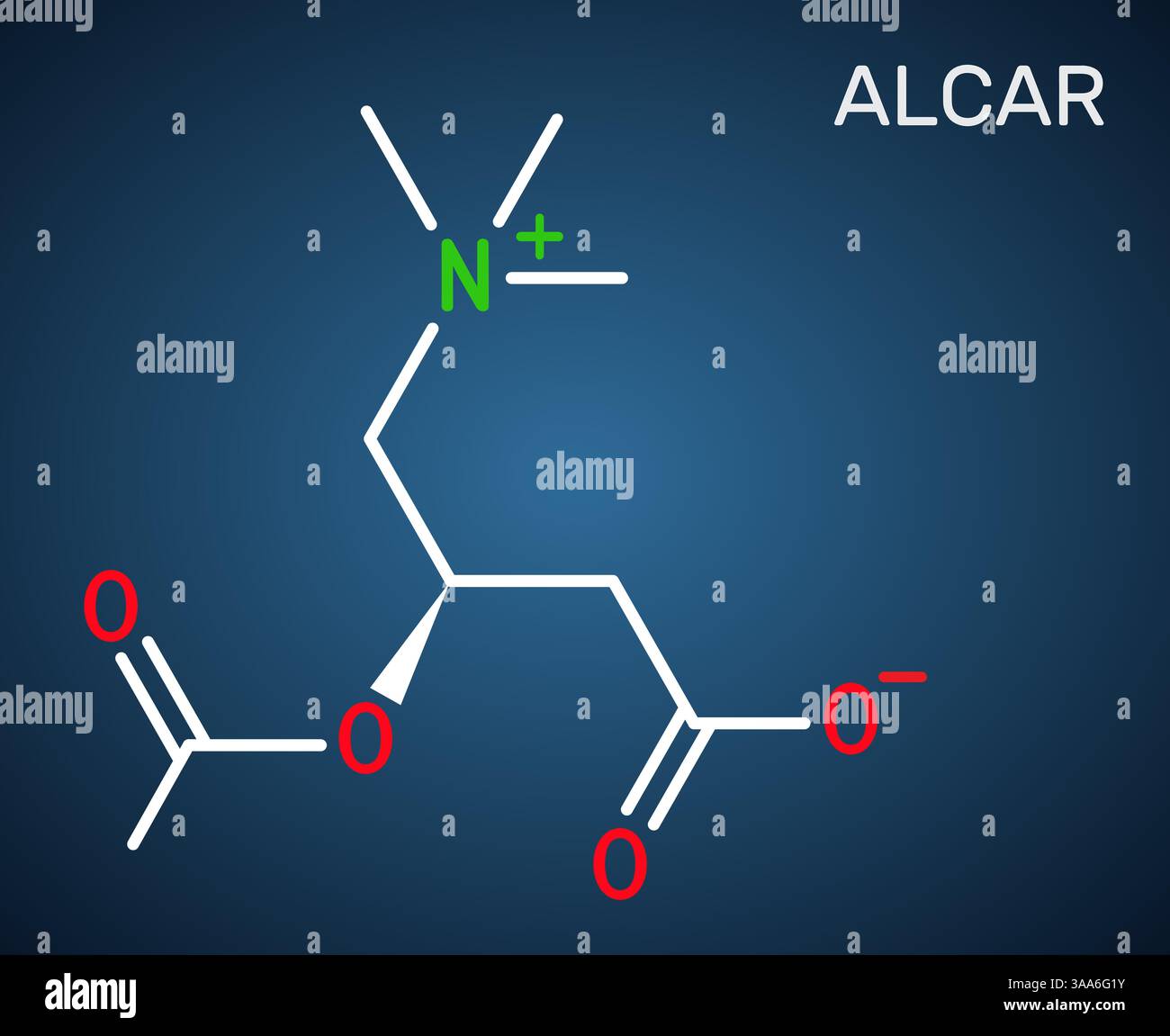 acetyl l carnitine molecule L carnitine Stock Vector Images