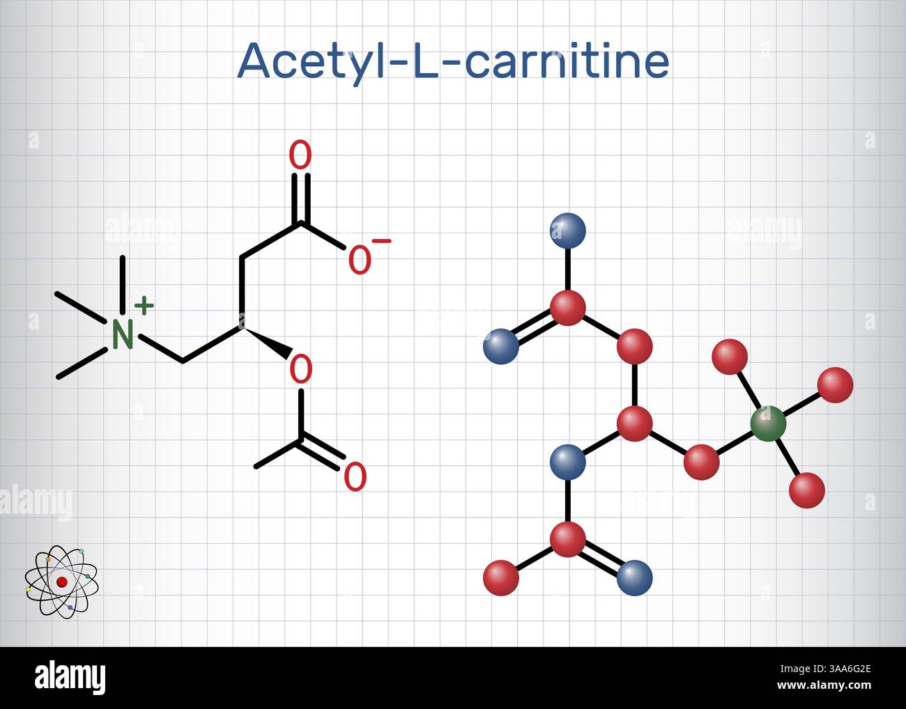 L carnitine Stock Vector Images