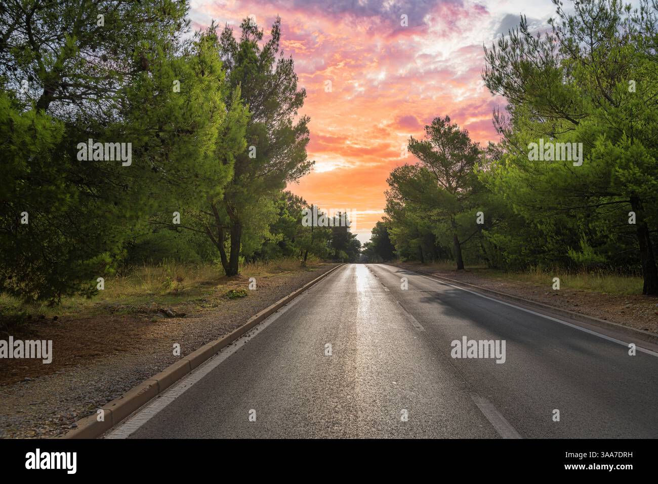 A peaceful, tree-lined road stretches into the distance under a ...