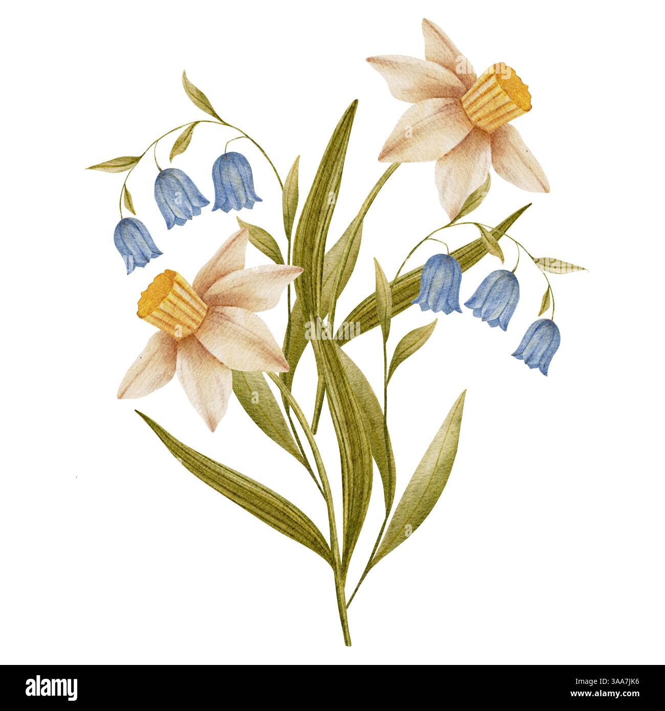 Hand drawn spring flowers illustration of bouquet with bluebell and ...