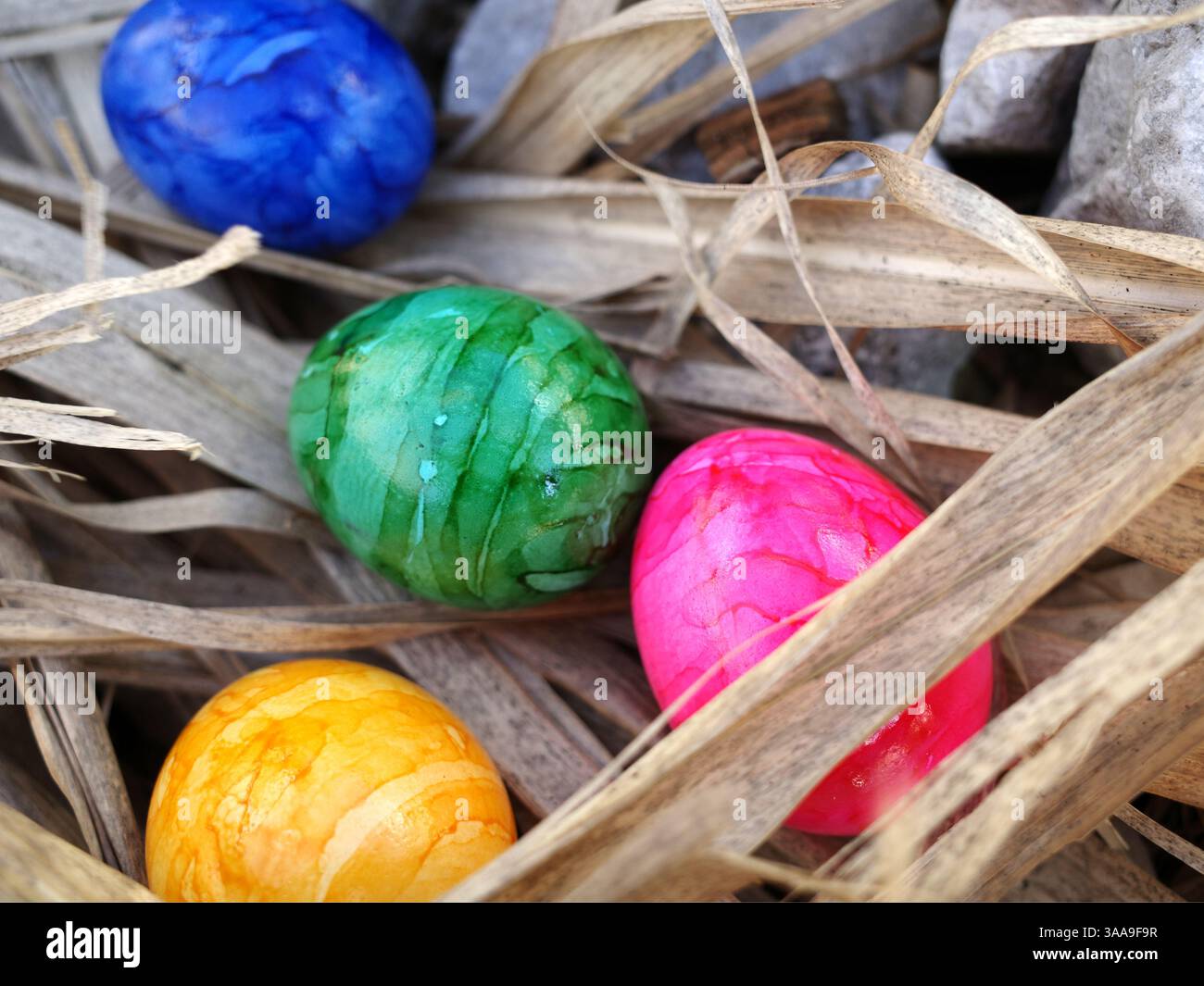 Four colorful easter eggs are lying between dry bamboo leaves Stock Photo