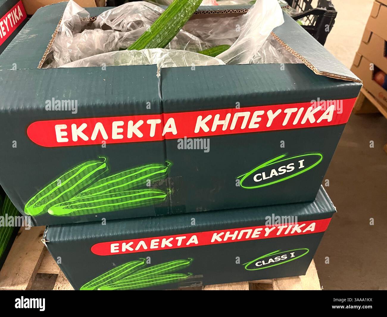 Eklekta Greek cucumbers, Greek vegetables producer, product of Greece, cardboard box vegetables, cucumbers, shipping, agriculture, business, food - Smartphone Captured Stock Image
