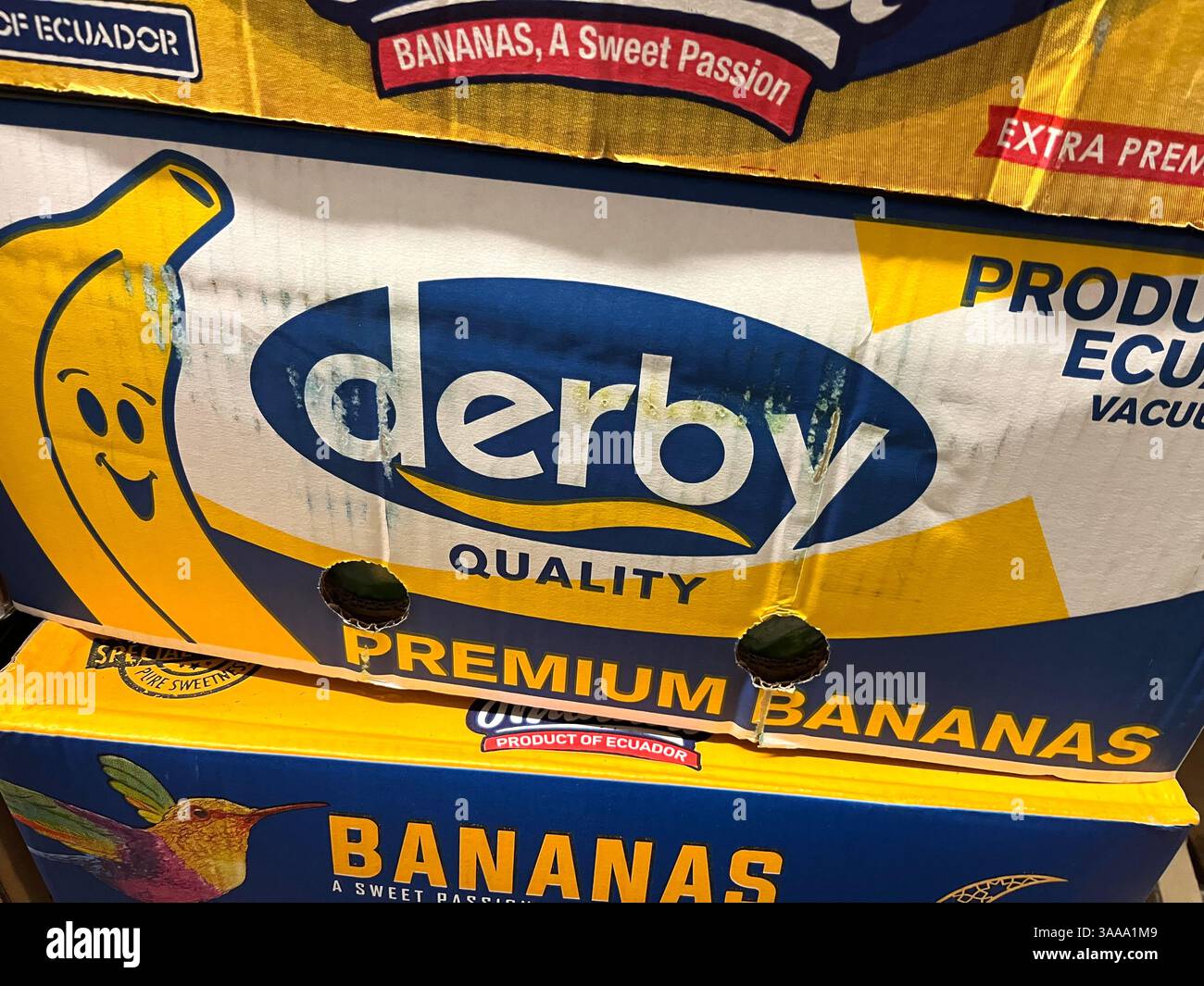 Derby premium bananas, banana boxes, banana shipping boxes, packing boxes bananas, bulk banana boxes, wholesale banana boxes, recyclable banana boxes - Smartphone Captured Stock Image