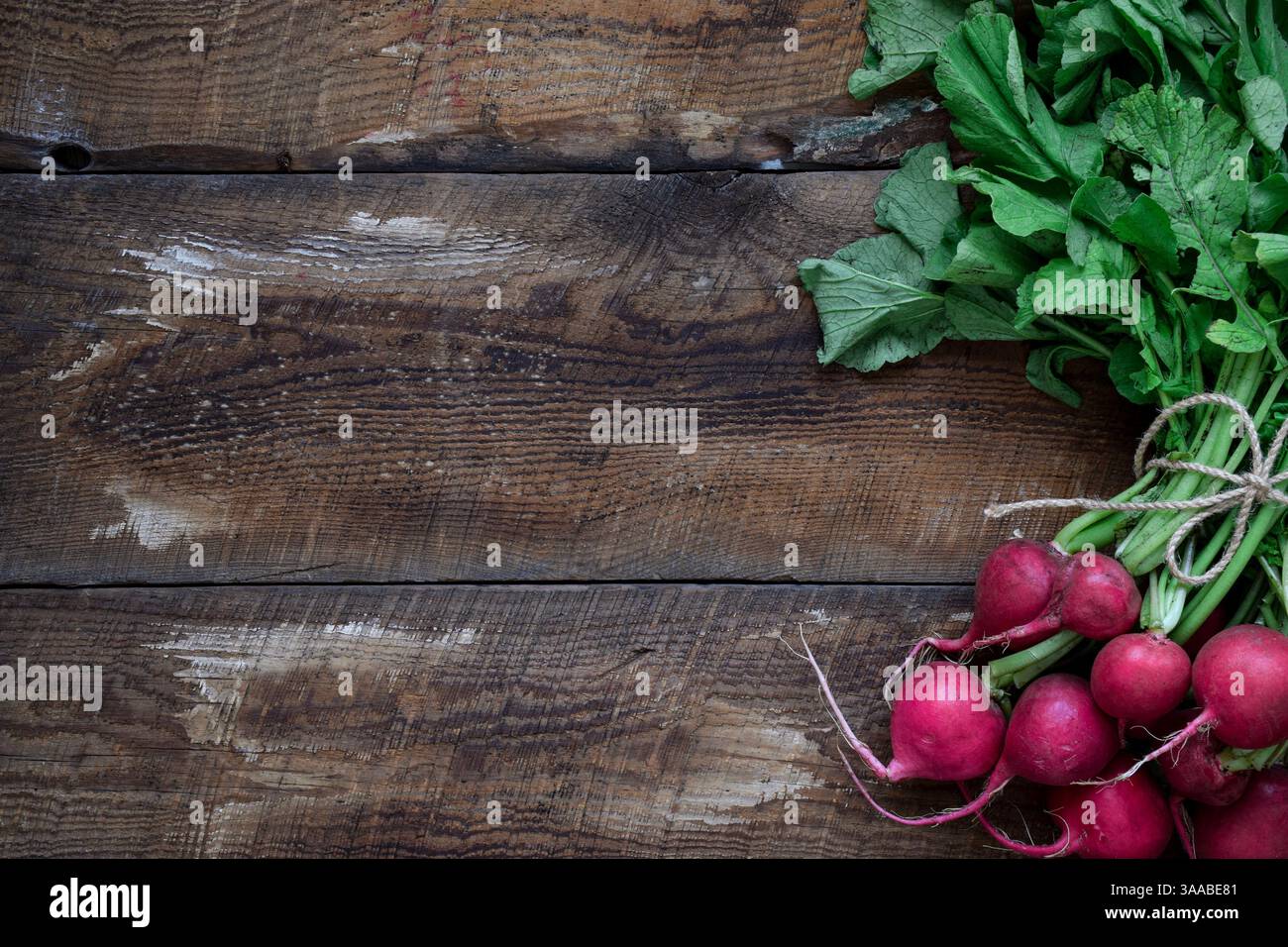 A bunch of fresh red radishes on top of rustic wooden table with copy space Stock Photo