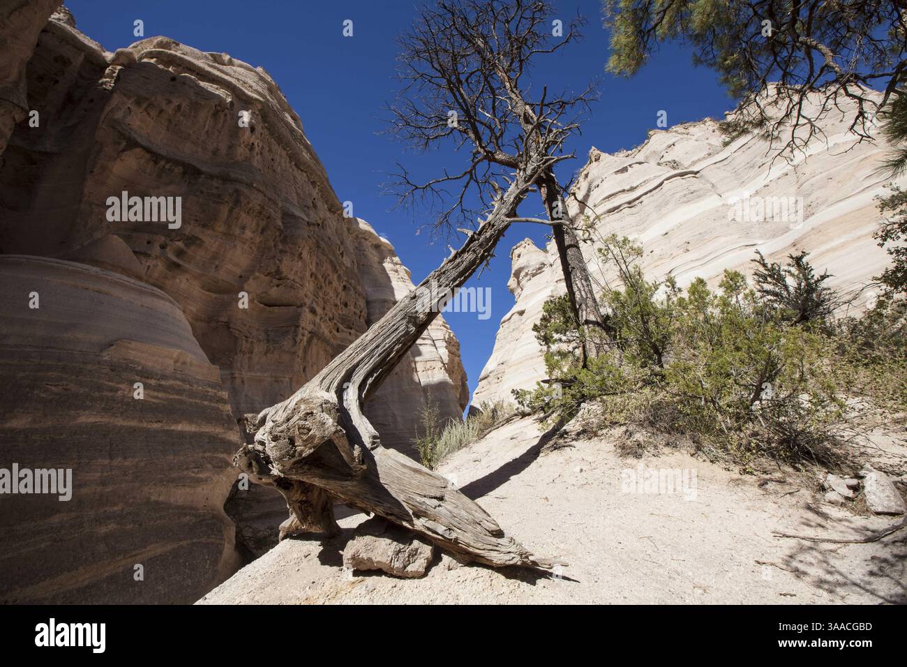Cochiti pueblo nm hi-res stock photography and images - Alamy