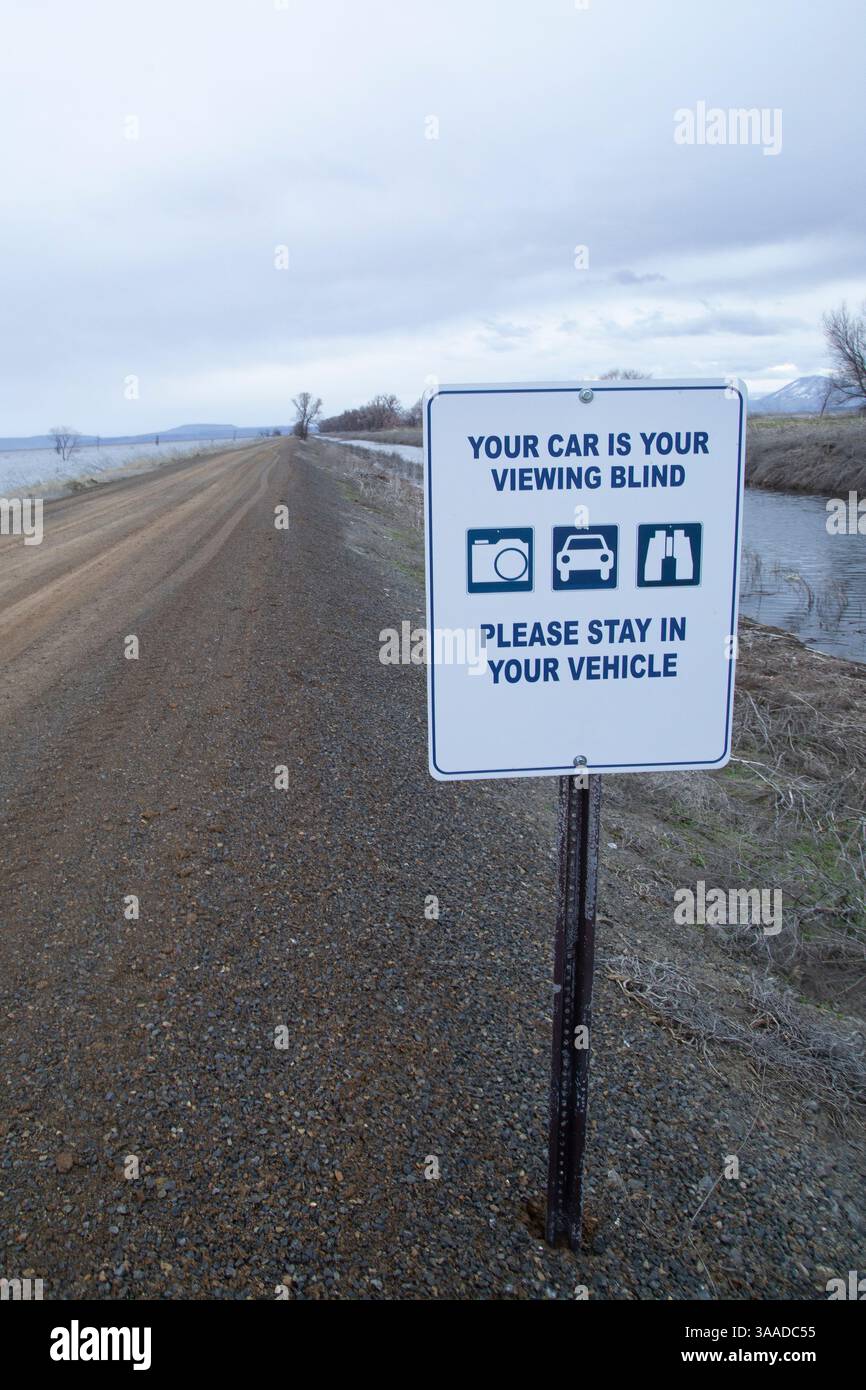 Active viewing hi-res stock photography and images - Alamy