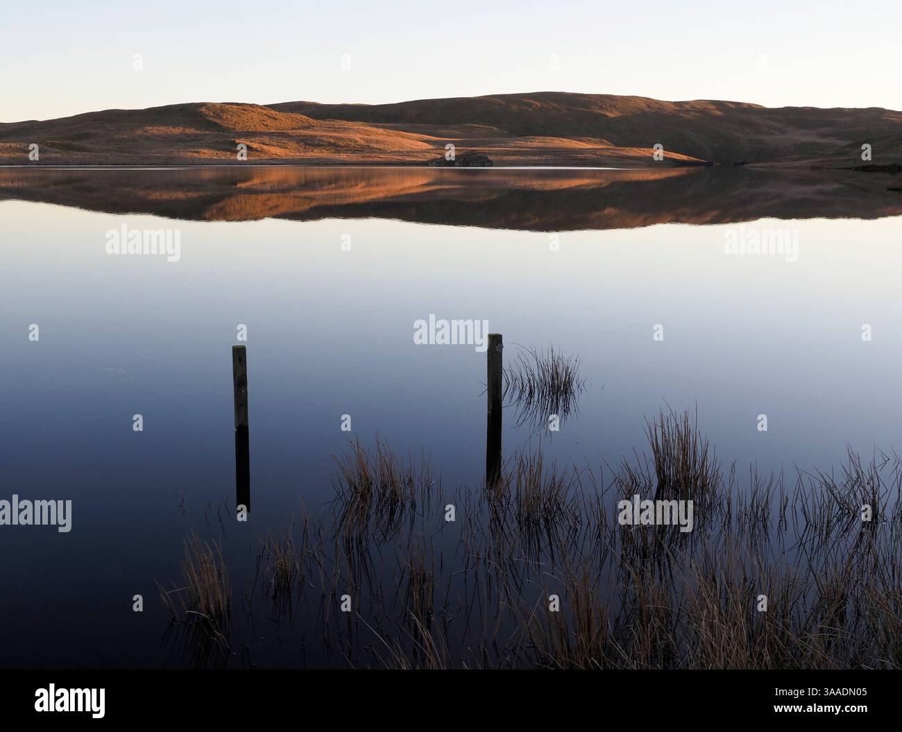 Evening light on Llyn Egnant, Wales Stock Photo