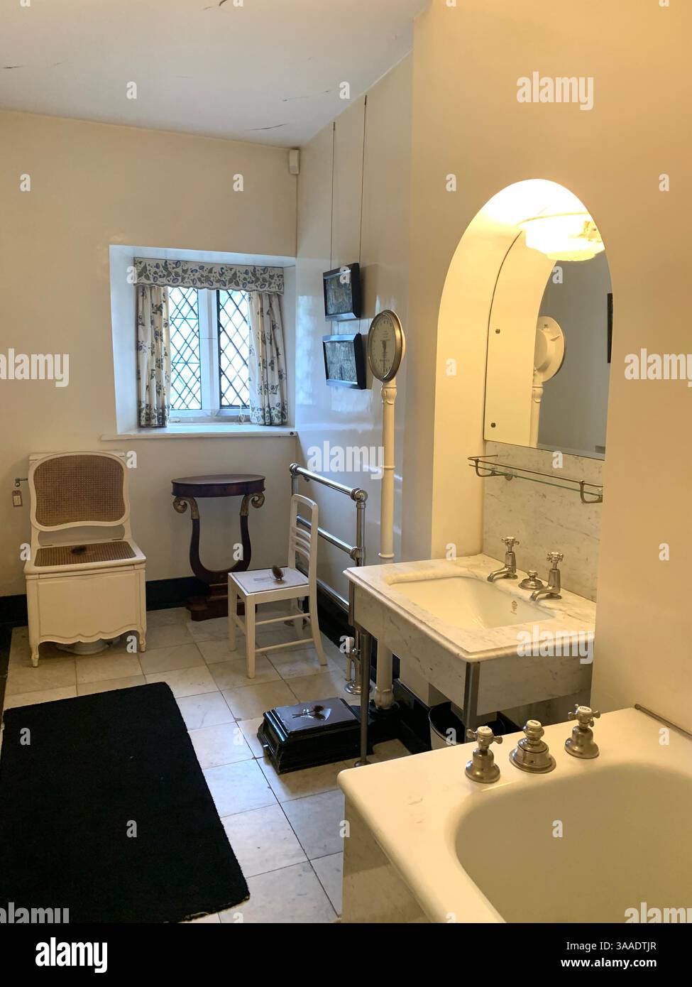 Anglesey Abbey Cambridgeshire UK England hall dog lights stand pictures carpets carpet decorations library Mary Queen of Scots Henry the eighth - Smartphone Captured Stock Image