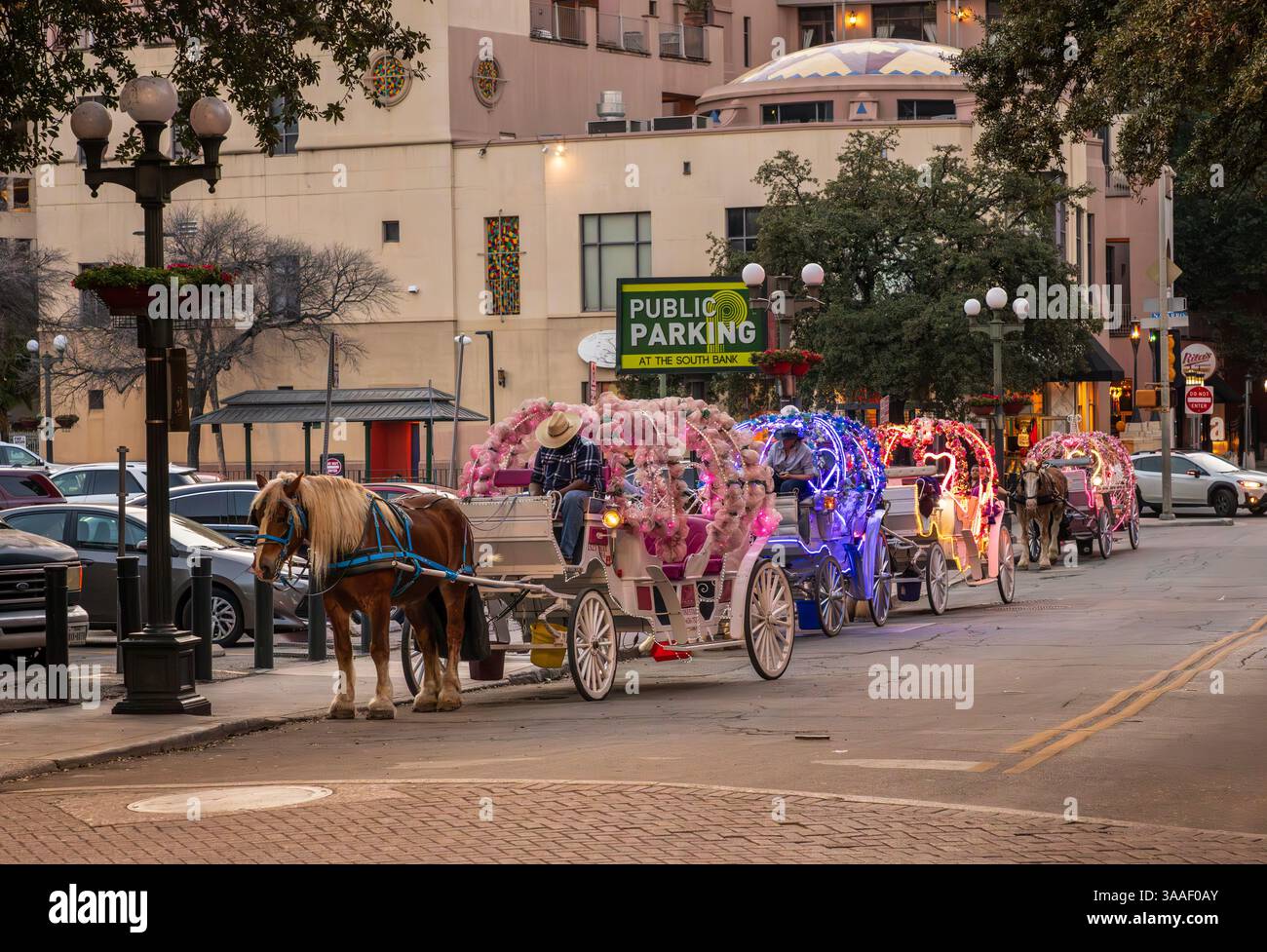 San Antonio, TX - 26 February 2025: Driver of romantic horse drawn ...