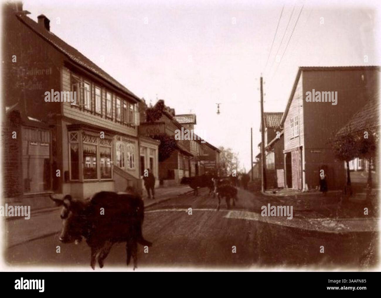 J Simonsen - Sankt Andreasberg, Straßenansicht mit Kühen (60315 1920er). Stock Photo