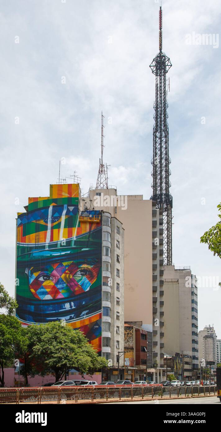 The Ayrton Senna Formula 1 famous brazilian racer grafitti panel on a