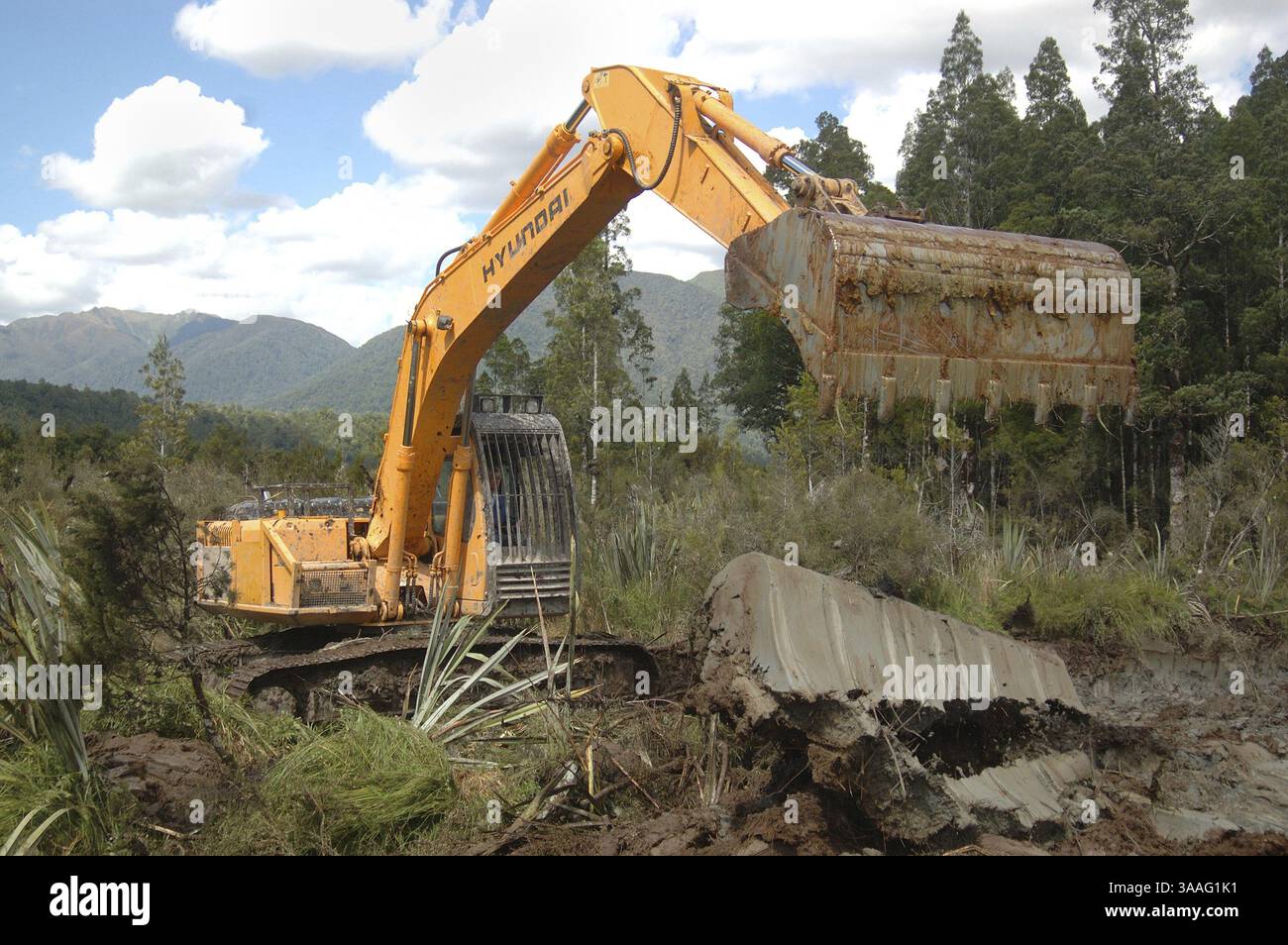Excavator digging drainage channels in swampy land on the West Coast ...