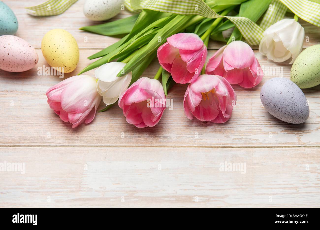 Pink and white tulips with pastel colored easter eggs and green ribbon ...