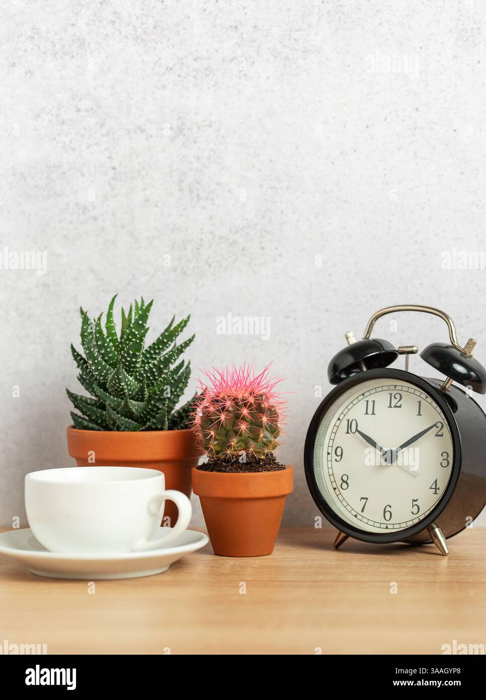 Coffee cup, alarm clock and succulents creating cozy home interior ...