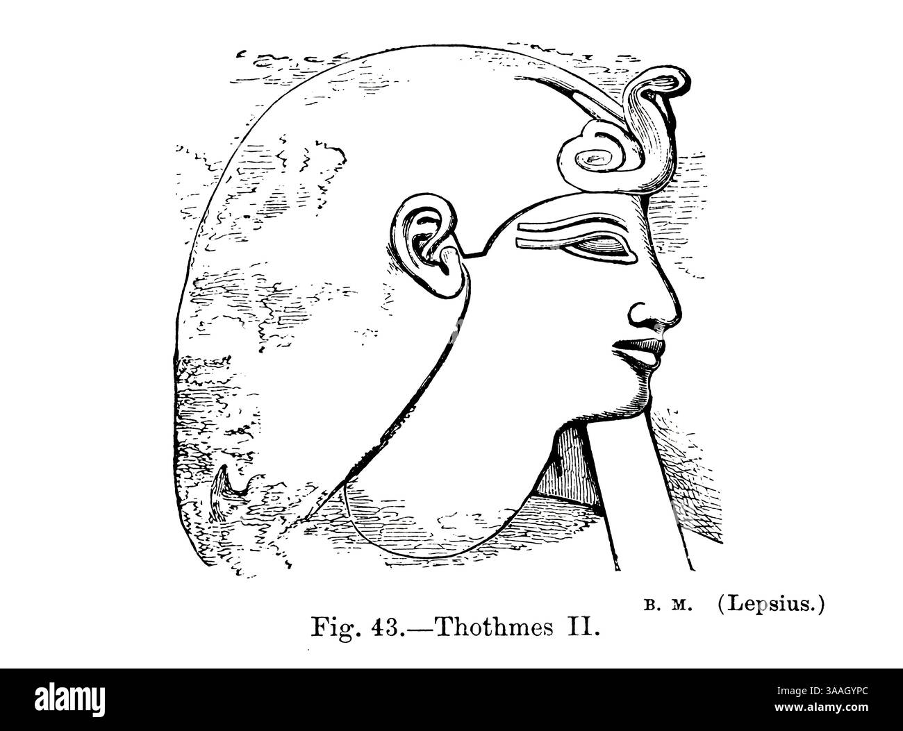 thothmes-cut-out-stock-images-pictures-alamy