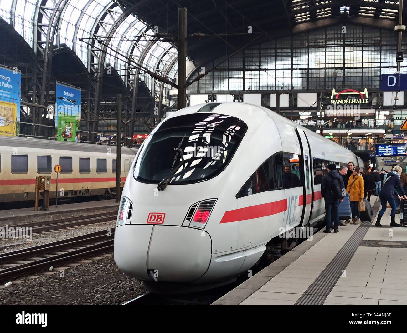The Friction of Progress: Environmental Hurdles and Rail Delays