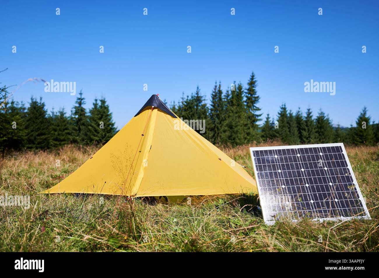 yellow-tent-with-solar-panel-set-up-in-grassy-field-surrounded-by-dense