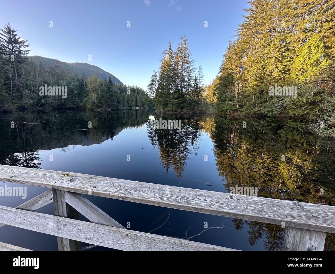 “A serene lake reflecting the sky and surrounding trees, with a blend of green and golden-yellow leaves adding a touch of seasonal beauty. - Smartphone Captured Stock Image