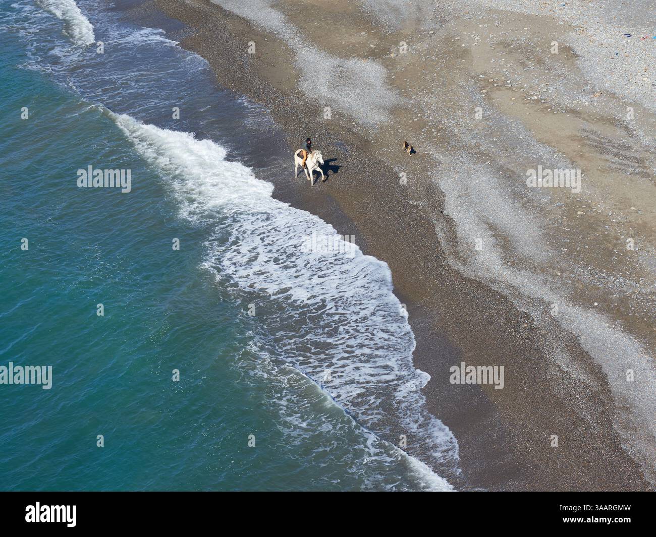 AERIAL VIEW. Man riding a horse on a pebble beach with his dog following. Vallecrosia, Imperia Province, Liguria, Italy. Stock Photo