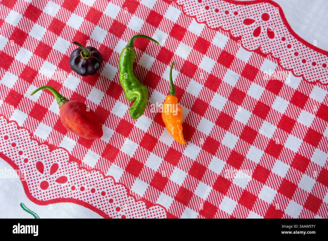 Close up of delicious tropical colorful chili peppers on red and white checkered tablecloth in Amazon, Brazil. Concept of food, spice, restaurant. Stock Photo
