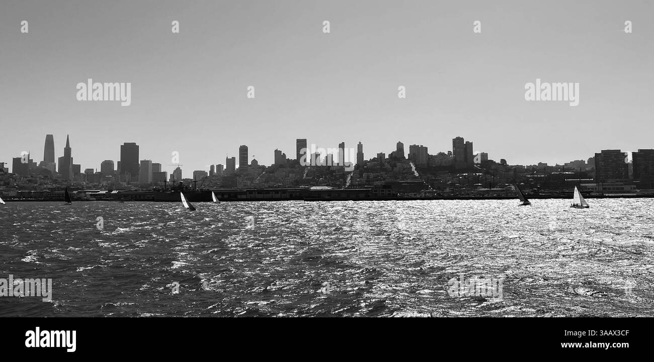 A view of the San Francisco city - Smartphone Captured Stock Image