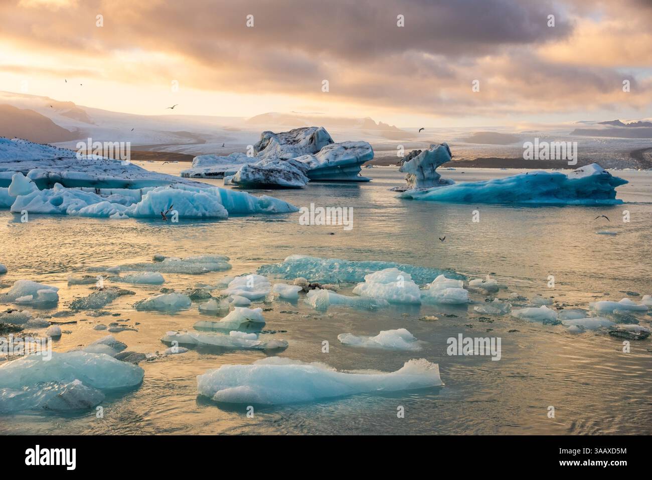 Icebergs floating in Jokulsarlon glacier lagoon lake at sunset Stock ...