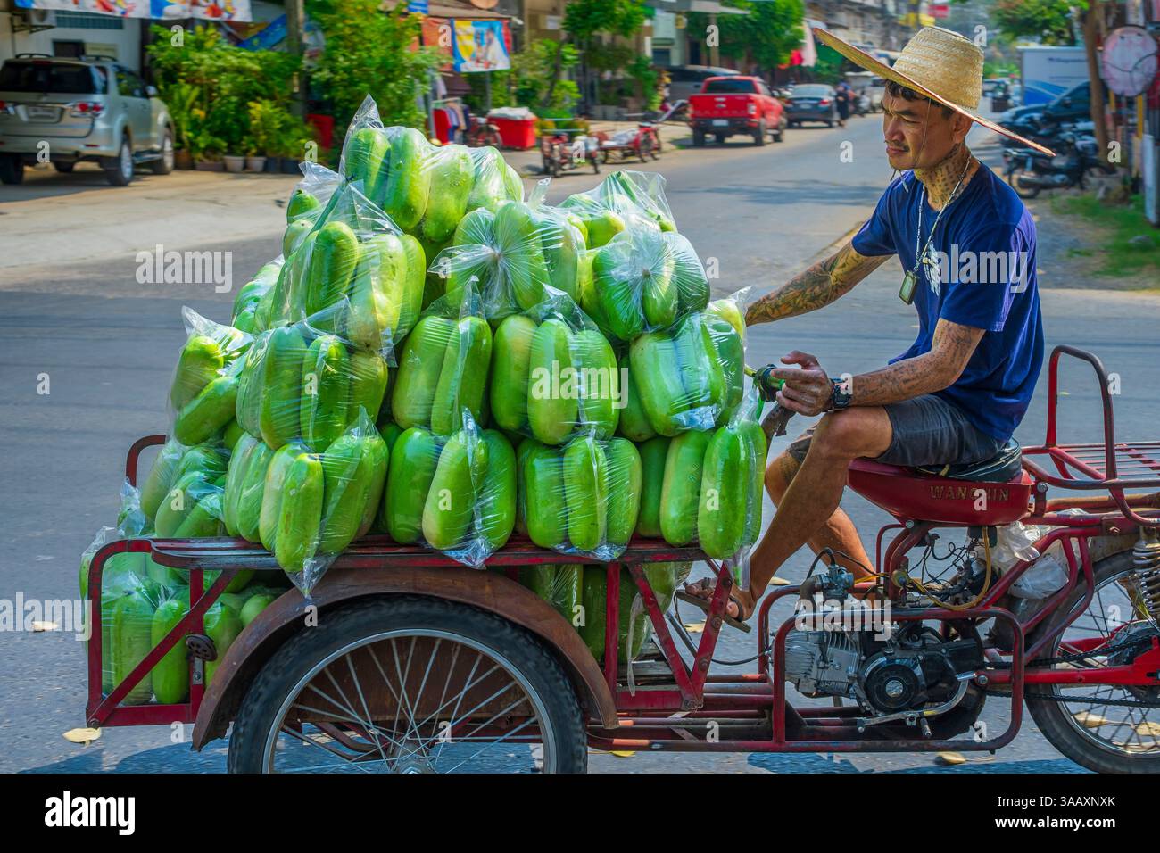 Vegitable Riksha Thailand, Sisaket, vegetable delivery by rickshaw Stock Photo - Alamy