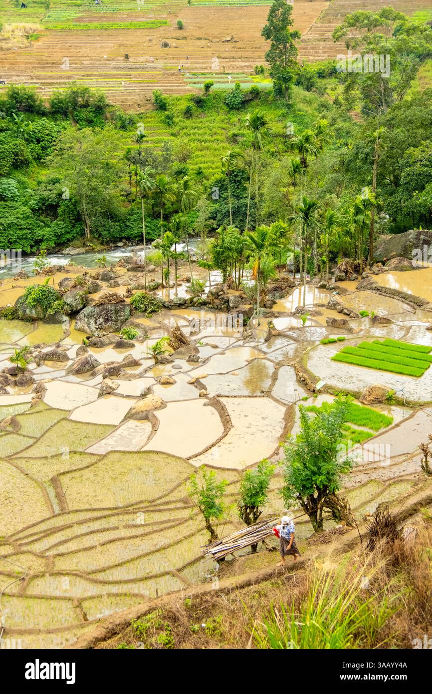 Sri Lanka, Vintage Royal Enfield Motorcycle Raid, Knuckles to Nuwara ...
