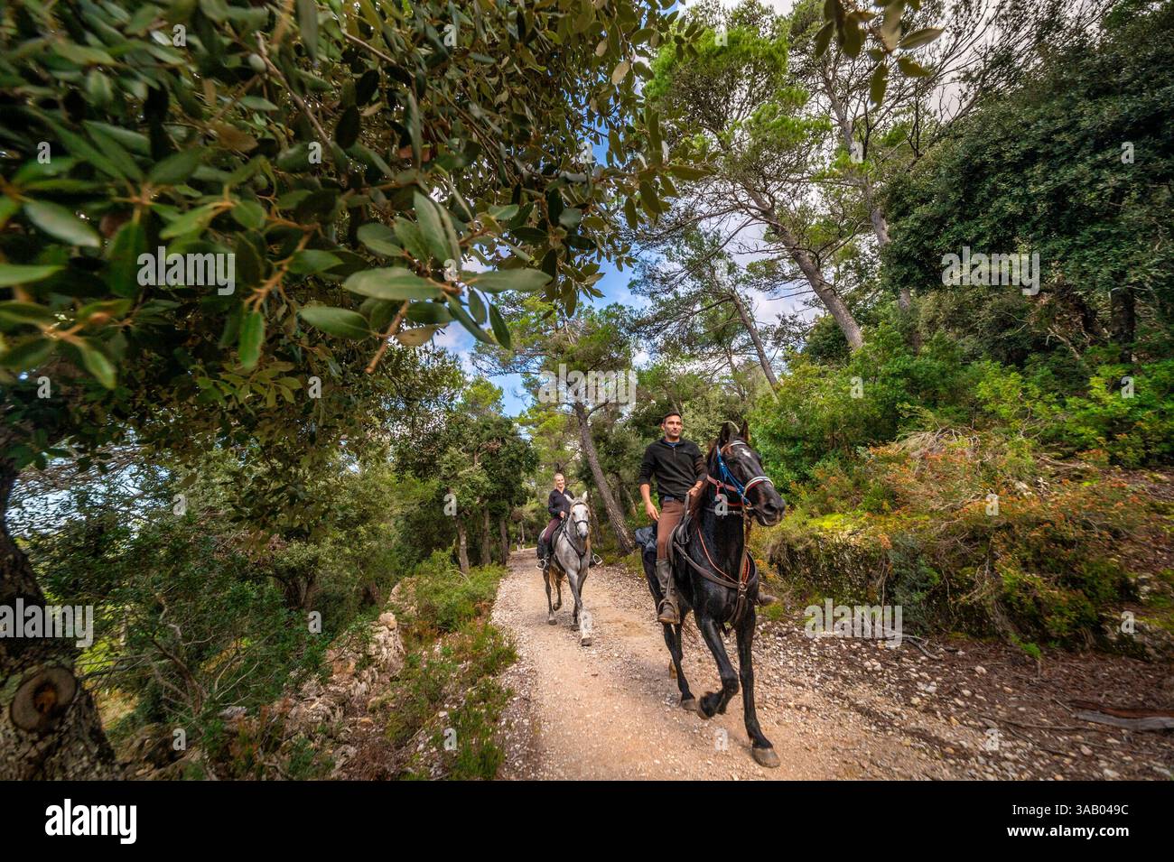 Spain, Balearic Islands, Mallorca, Escorca, Serra de Tramuntana UNESCO World Heritage Site, equirando on the GR221 between Lluc and Pollença Stock Photo