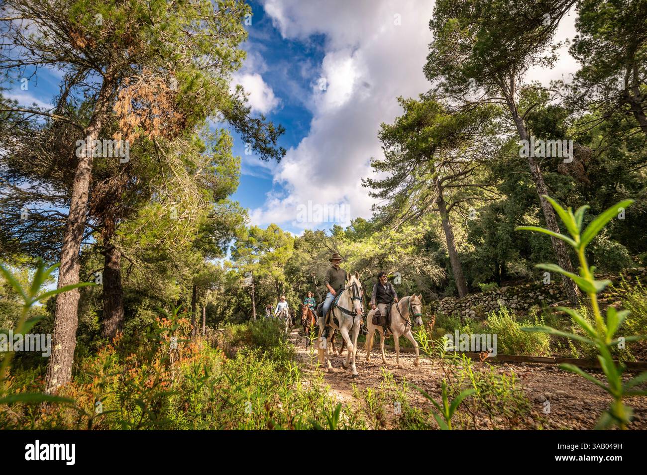 Spain, Balearic Islands, Mallorca, Escorca, Serra de Tramuntana UNESCO World Heritage Site, equirando on the GR221 between Lluc and Pollença Stock Photo
