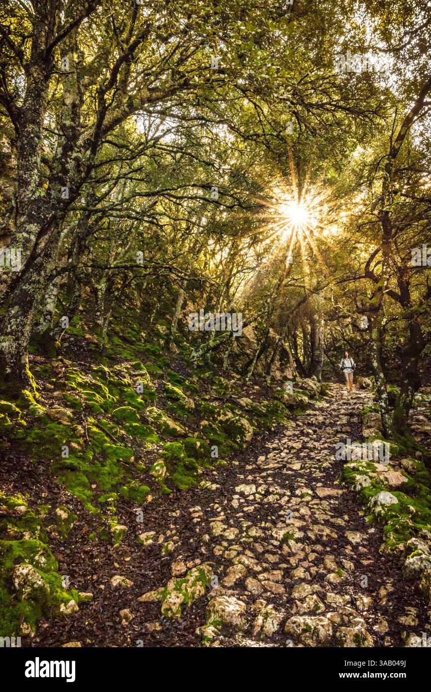 Spain, Balearic Islands, Mallorca, Escorca, Serra de Tramuntana UNESCO World Heritage Site, hiker on the GR221 Stock Photo