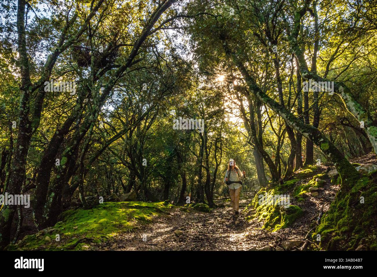 Spain, Balearic Islands, Mallorca, Escorca, Serra de Tramuntana UNESCO World Heritage Site, hiker on the GR221 Stock Photo