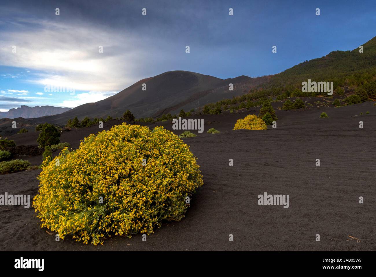 Spain, Canary Islands, La Palma Island recognized as a Biosphere ...