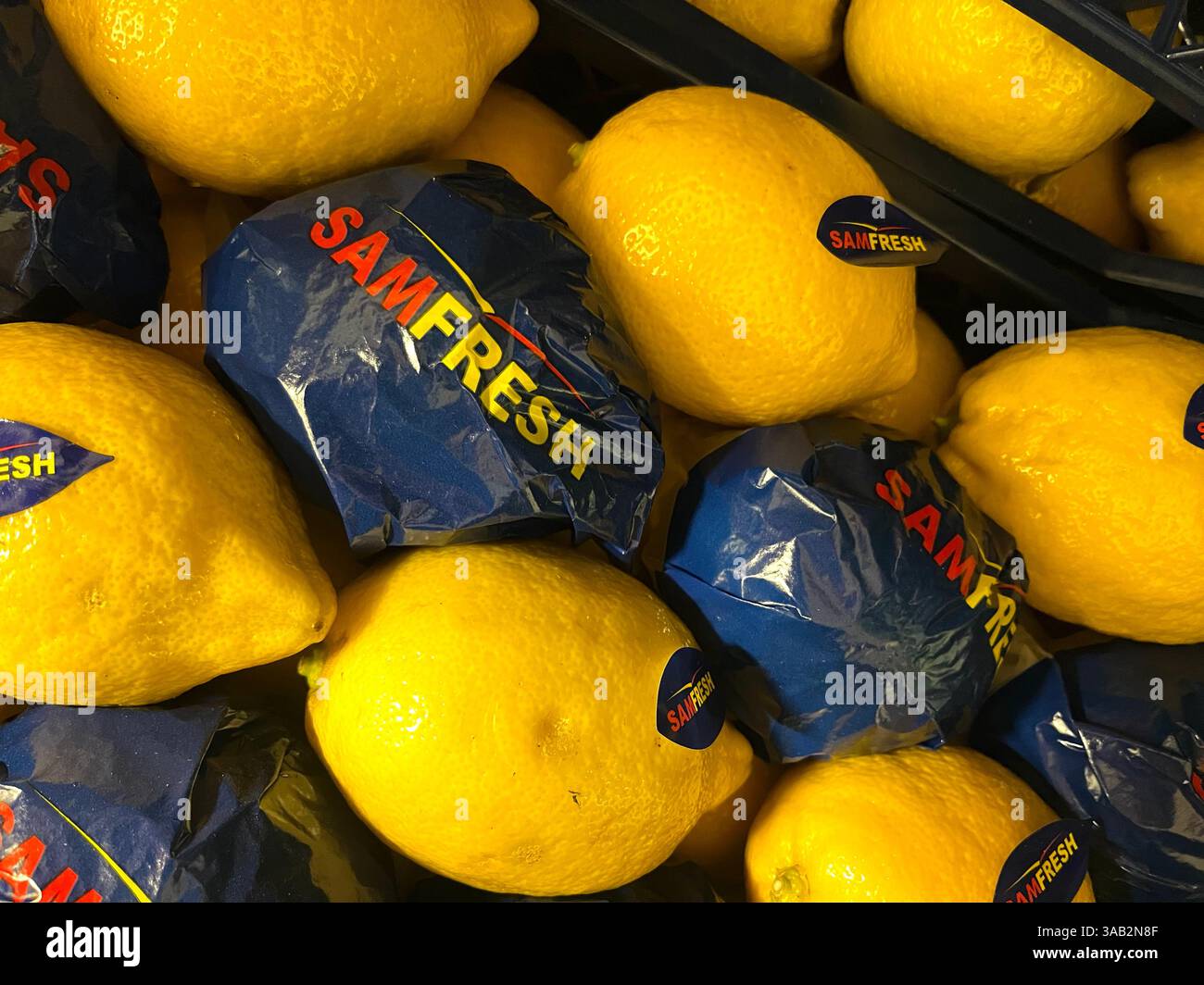 lemons, citrus fruits, SamFresh, Argentina, fruits, warehouse, produce, agriculture, food supply, fruits storage, distribution, supply chain - Smartphone Captured Stock Image